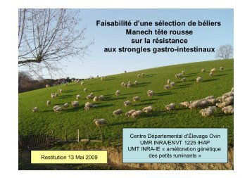 Télécharger - GIS id64, la recherche pour les ovins lait en Pyrénées ...