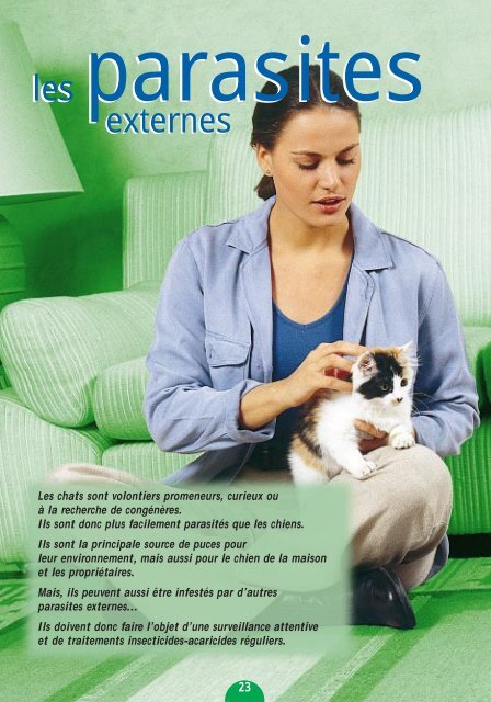 Les Parasites Externes Du Chaton Le Norvegien Le Chat Norvegien