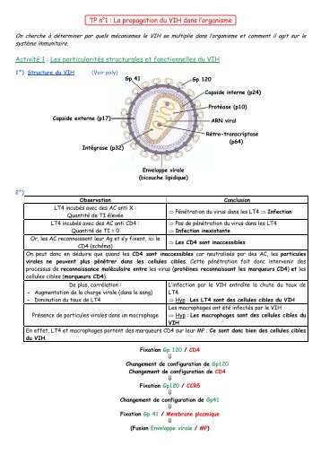 Les particularités structurales et fonctionnelles du VIH - Lycée Van ...