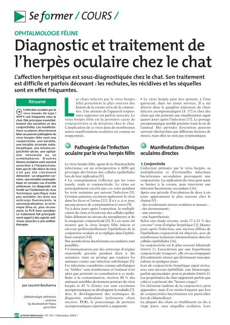 Diagnostic Et Traitement De L Herpes Oculaire Chez Le Chat Ophtavet