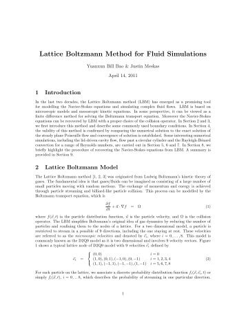 Lattice Boltzmann Method for Fluid Simulations