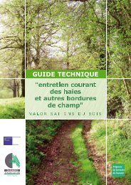 Guide technique « entretien courant des haies et autres bordures de ...