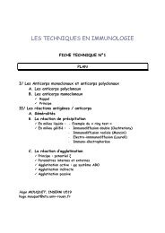 LES TECHNIQUES EN IMMUNOLOGIE