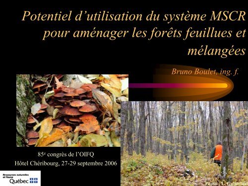 Voir la présentation - Ordre des ingénieurs forestiers du Québec