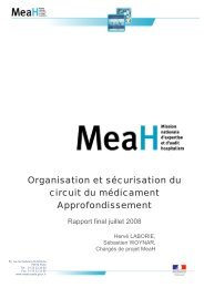 Organisation et sécurisation du circuit du médicament ... - Anap