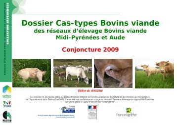 Dossier Cas-types Bovins viande - Chambre d'agriculture du Tarn