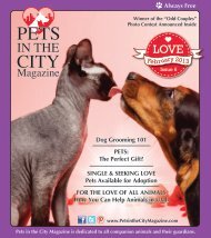 Always Free February 2013 - Pets in the City Magazine