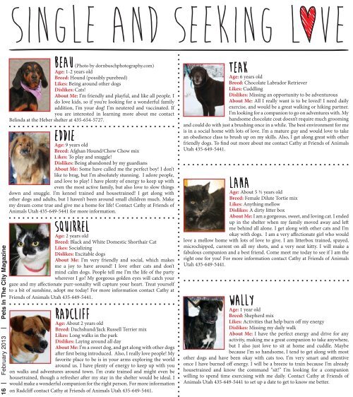 Always Free February 2013 - Pets in the City Magazine