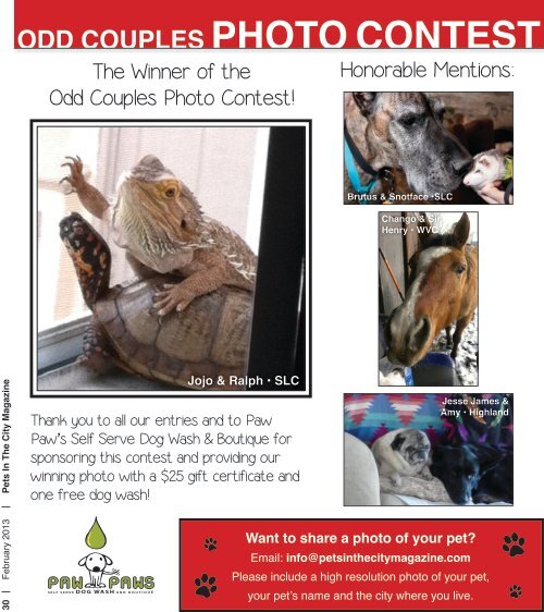 Always Free February 2013 - Pets in the City Magazine