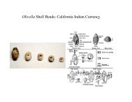 Olivella Shell Beads: California Indian Currency