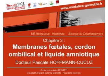 Membranes fœtales, cordon ombilical et liquide amniotique