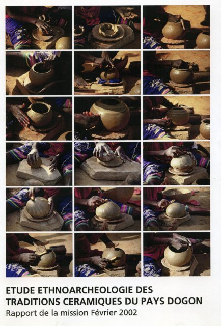 Rapport mission dogon 2002 - Alain Gallay