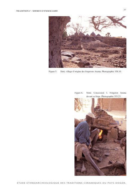 Rapport mission dogon 2002 - Alain Gallay