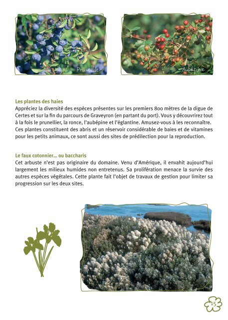 Domaine de Certes-Graveyron - guide (format Document Adobe