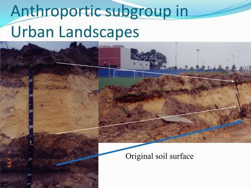 Development of Anthropogenic Soil Classification - Virginia Tech