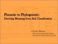 Phenetic vs Phylogenetic: