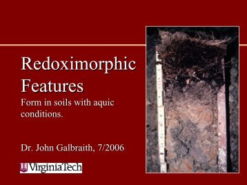 Basics of Redoximorphic Features.pdf