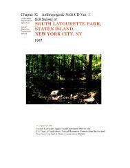 Soil Survey Report for South LaTourette Park, NYC