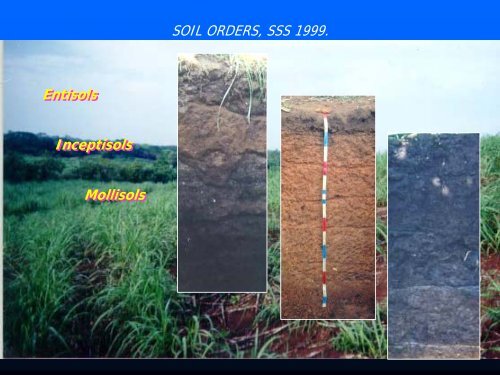 Ortiz et al-Contemporary Influence of Indigenous Soil.pdf