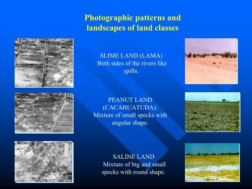 Ortiz et al-Contemporary Influence of Indigenous Soil.pdf