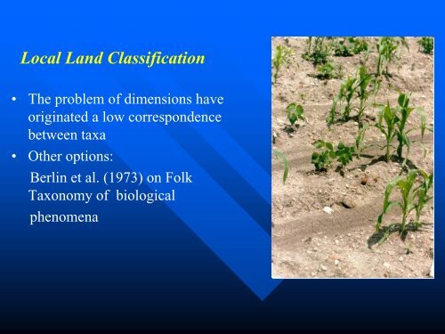 Ortiz et al-Contemporary Influence of Indigenous Soil.pdf