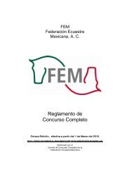 Reglamento de Concurso Completo FEM 2010