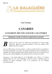 CANARIES - La Balaguère