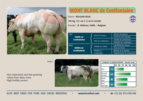 ELITE BEEF SIRES FOR PURE AND CROSS BREEDING