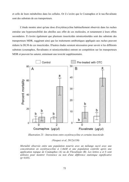 La disparition des abeilles (Colony Collapsus Disorder)