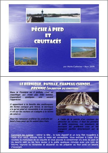 Pêche à pied et crustacés - AquaGazel