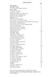 Homeopathic Mind maps - Remedies of the Animal - front-site