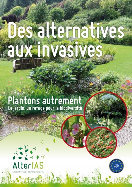 Plantes vertes et herbe poussant à travers le maillage de boîtes