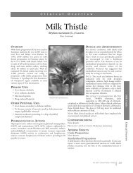 Milk Thistle - American Botanical Council