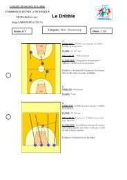 Le Dribble Mini poussins - Comité Basket Ball 71