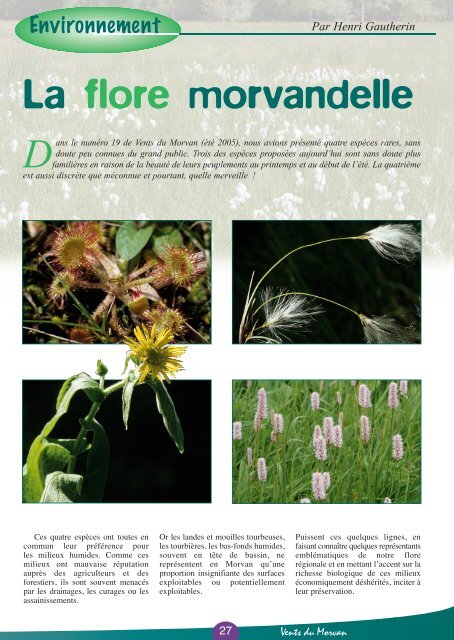 La flore morvandelle - Vents du Morvan