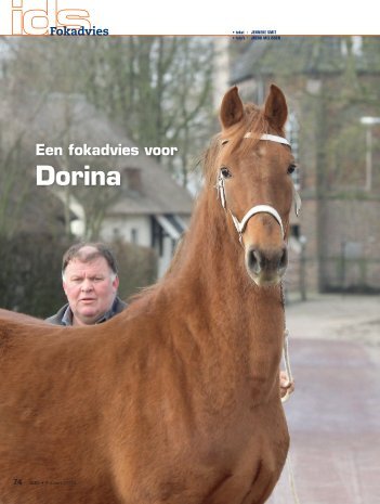 Een fokadvies voor Dorina - Mijn KWPN