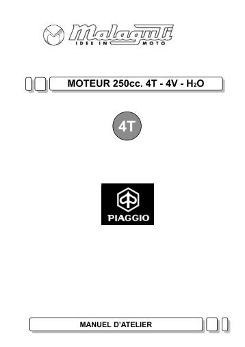 M0076 Madison Rs 250 Moteur - Malaguti