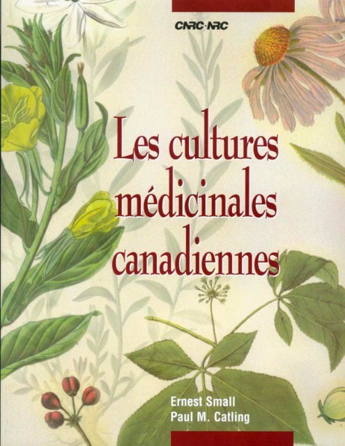 Les cultures médicinales canadiennes - Moisson Québec