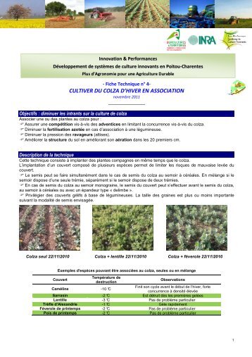 fiche technique sdci colza associé - Chambre d'Agriculture des ...