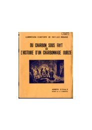 DU CHARBON SOUS FAYT ou L'HISTOIRE D'UN CHARBONNAGE ...