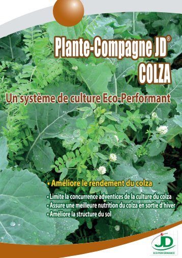 Plante-compagne JD® colza - Jouffray Drillaud