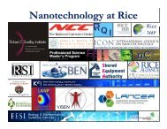 Nanotechnology at Rice - Center for Nanoscale Science and ...