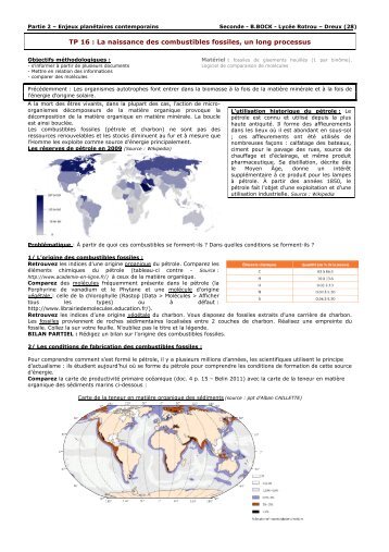 TP 16 : La naissance des combustibles fossiles, un long processus