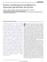 Exciton scattering and localization in branched dendrimeric structures