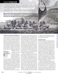 2010 Beyond Kon-Tiki: Did Polynesians Sail to South America