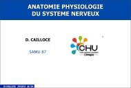 ANATOMIE PHYSIOLOGIE DU SYSTEME NERVEUX - docsamu