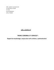 TRONC CEREBRAL ET CERVELET : - Cours L3 Bichat 2012-2013