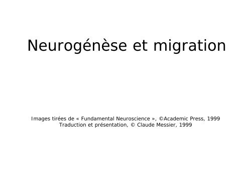 Neurogénèse et migration