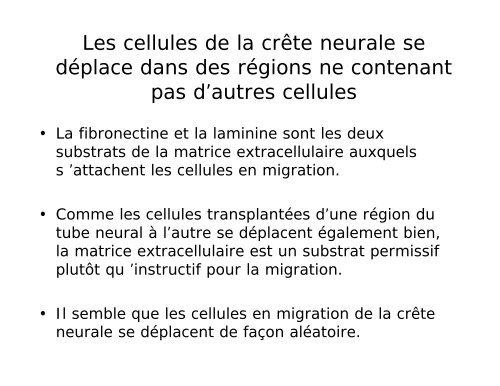 Neurogénèse et migration