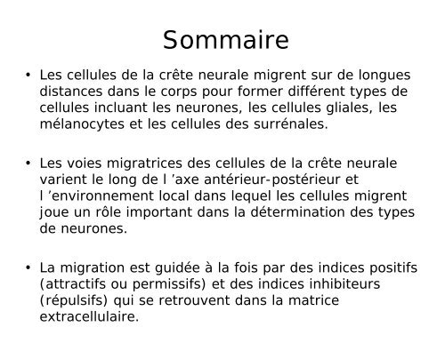 Neurogénèse et migration